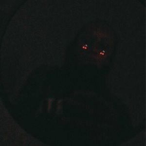 Meet your Posher, Mattie